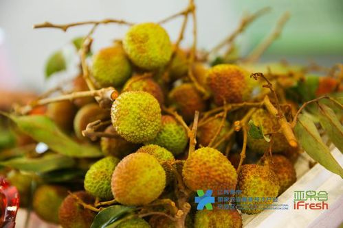 望都都南优享农产品亮相南京 竹石文化节上展风采