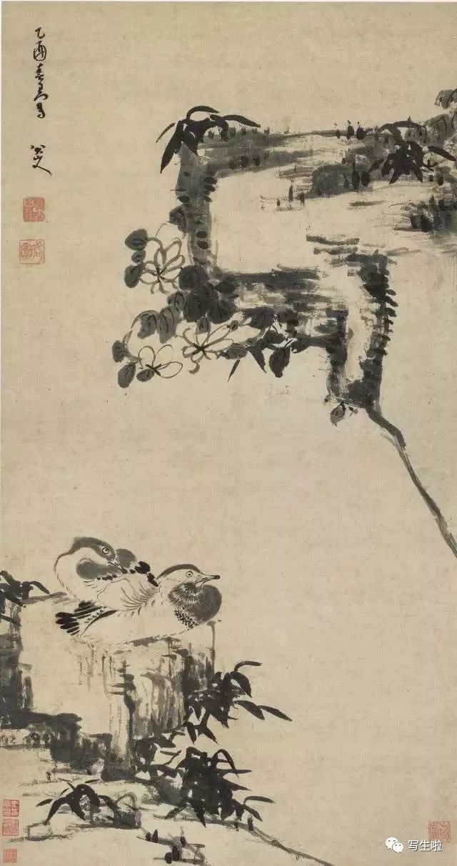 凭一“白眼”独步古今——八大山人水墨画里的南京竹石